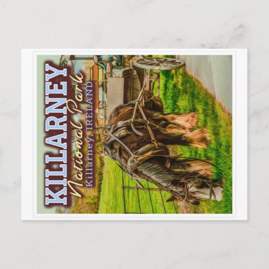 KILLARNEY NATIONAL PARK - KILLARNEY IERLAND BRIEFKAART (Voorkant)
