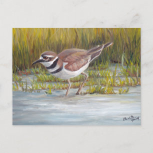 Killdeer at Hostetter Farm Bird Art Carte postale