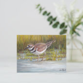 Killdeer at Hostetter Farm Bird Art Carte postale (Debout devant)
