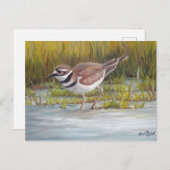 Killdeer at Hostetter Farm Bird Art Carte postale (Devant / Derrière)