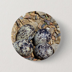 KillDeer Nest met eieren Ronde Button 5,7 Cm