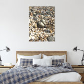 Killder Nest & Eggs Foto op Canvas (Insitu (Slaapkamer))