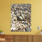 Killder Nest & Eggs Foto op Canvas Afdruk (Insitu (Woonkamer))