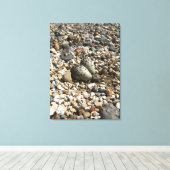 Killder Nest & Eggs Foto op Canvas Afdruk (Insitu (Houten vloer))