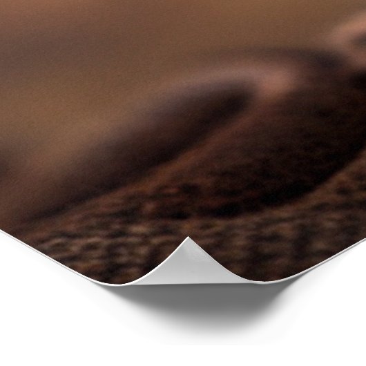 kille eekhoorn poster (Hoek)