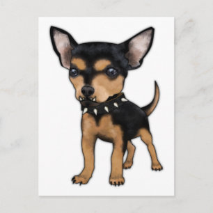Killer Chihuahua Briefkaart