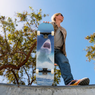 KILLER SHARK FILM SKATEBOARD