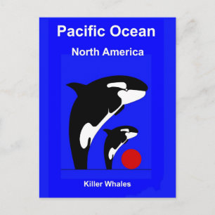 Killer Wales Briefkaart