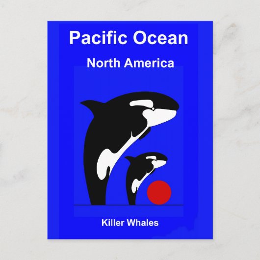 Killer Wales Briefkaart (Voorkant)