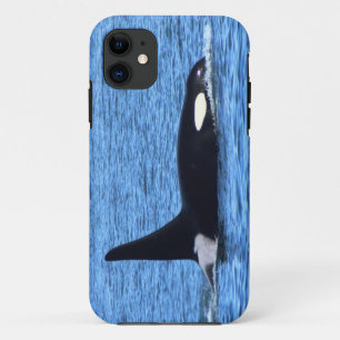 Killer Whale Blackberry iPhone 11 Hoesje