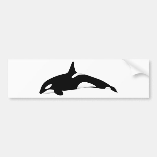 Killer Whale Bumpersticker (Voorkant)