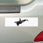 Killer whale bumpersticker (Op auto)
