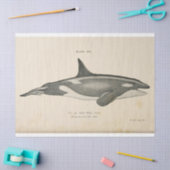 Killer Whale Ephemera Decoupage Nautische Tissuepapier (Craft)