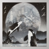Killer Whale Framed Print (Voorkant)