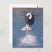 Killer whale jumping out of water briefkaart (Voorkant / Achterkant)