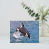 Killer whale jumping out of water briefkaart (Staand voorkant)
