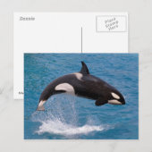 Killer whale jumping out of water briefkaart (Voorkant / Achterkant)