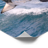 Killer whale jumping out of water poster (Hoek)