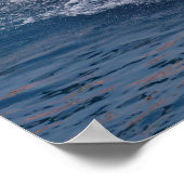 Killer whale jumping out of water poster (Hoek)