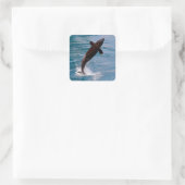 Killer whale jumping out of water vierkante sticker (Tas)
