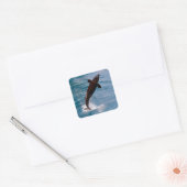 Killer whale jumping out of water vierkante sticker (Envelop)
