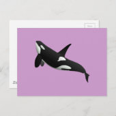 Killer Whale, Orcinus Orca Briefkaart (Voorkant / Achterkant)