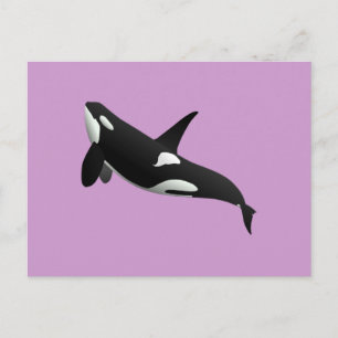 Killer Whale, Orcinus Orca Briefkaart
