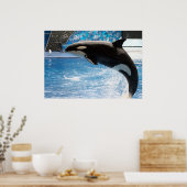 Killer Whale Poster (Keuken)