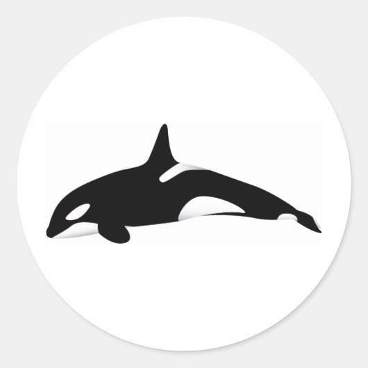 Killer Whale Ronde Sticker (Voorkant)