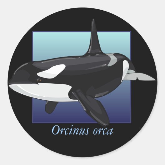 Killer Whale Sticker (Voorkant)