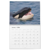 Killer whales 12-maandenkalender kalender (Jan 2026)