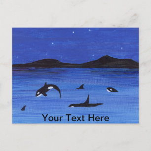 Killer Whales Briefkaart