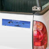 Killer Whales Bumpersticker (Op Truck)