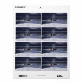 Killer Whales Etiket (Full Sheet)
