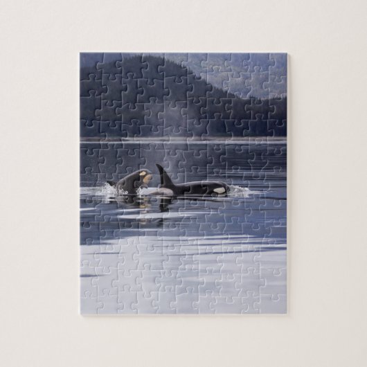 Killer Whales Legpuzzel (Verticaal)