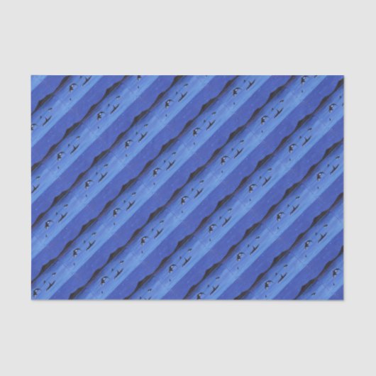 Killer Whales Tissuepapier (Voorkant)