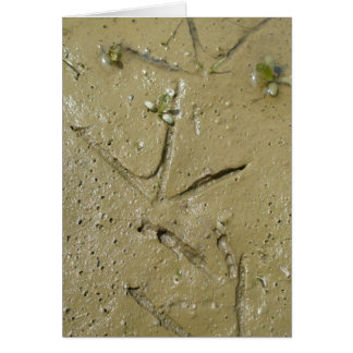 Killersporen
