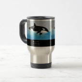 Killerwhale , Orcinus orca Reisbeker (Voorkant links)