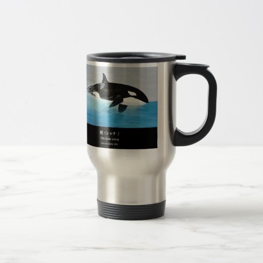 Killerwhale , Orcinus orca Reisbeker (Rechts)