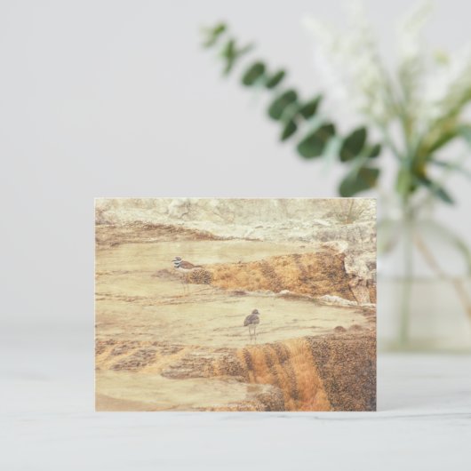 Killhert Briefkaart (Staand voorkant)