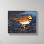 Killhert op het Icy Mudflats Canvas Afdruk (Voorkant)