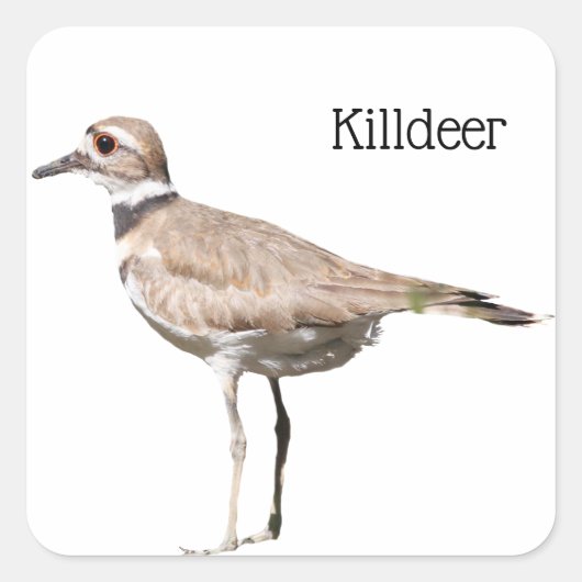 Killhert Vierkante Sticker (Voorkant)