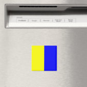 Kilo Magneet (Insitu (Vaatwasser))