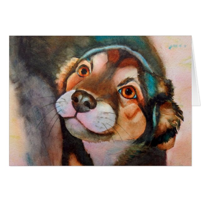 Kimba Shepherd Terrier Dog Mix (Devant horizontal)