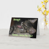 Kimber Burping Chat Carte d'anniversaire (Fleur jaune)