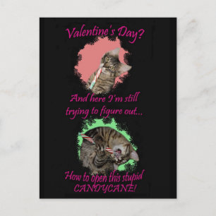 Kimber Candycane Carte postale de Valentine