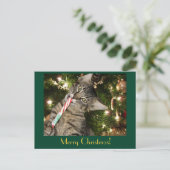 Kimber Cat Eats Candy Cane Briefkaart (Staand voorkant)