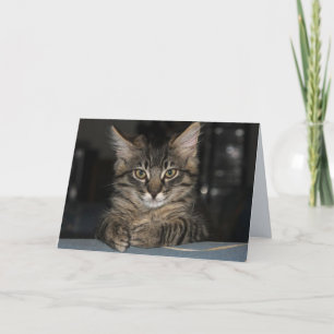 Kimber Cat ne vous brûle pas carte d'anniversaire