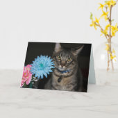 Kimber Cat Poses krijgt goede Kaart (Gele Bloem)