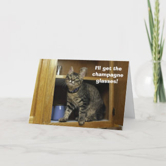 Kimber in de kast Jubileum Kaart